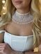 Silyanka white "Aeneid" 2176 photo 2