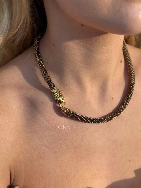 Snake harness with a golden hue 1181 photo