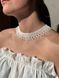 Silyanka is white with a transparent splash 356 photo 2