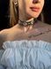Silyanka "Divotsvit" кольорова 322 photo 4