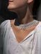 Silyanka "Tsvit terenu" is white and gray 13 photo 9